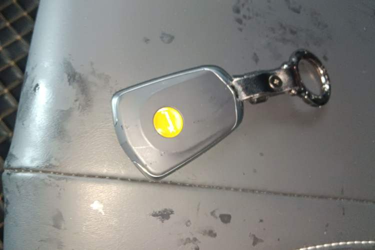 Used NETA U  Vehicle Key