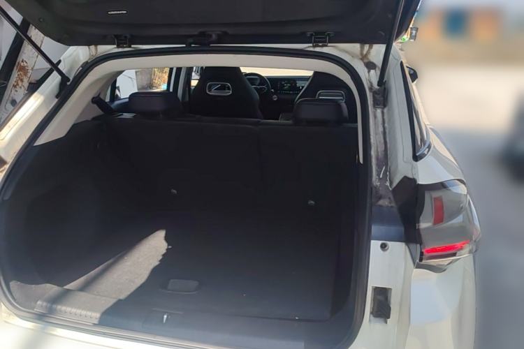 Used NETA U  Trunk
