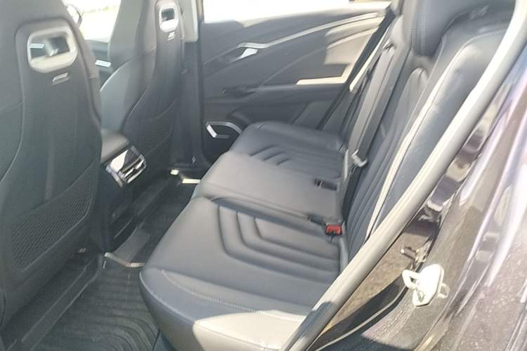 Used NETA U 2022 NETA U-Ⅱ 400 Lithium-Ion Battery Left Rear Seat