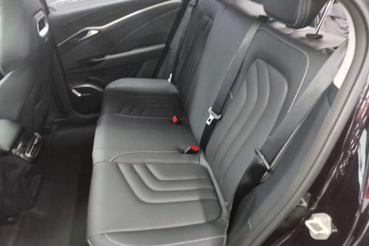 Used NETA U 2022 NETA U-Ⅱ 400 Lite Ternary Lithium Left Rear Seat