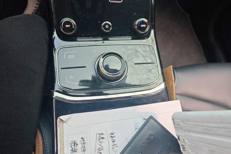 Used NETA U 2022 Neta U-Ⅱ 400 Lithium Iron Phosphate Gear Lever