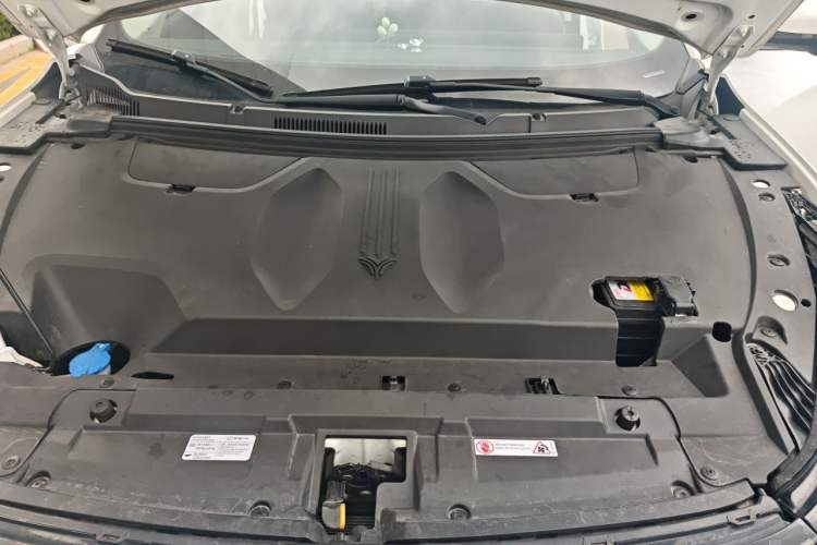 Used NETA U 2022 NETA U-Ⅱ 500 Lithium Iron Phosphate Engine Bay