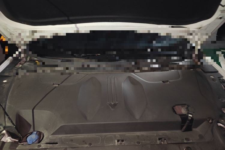 Used NETA U 2022 NETA U-Ⅱ 500 Lithium-Ion Engine Bay