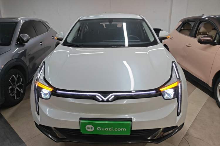 Used NETA U 2022 NETA U-Ⅱ 400 Industry Edition Front