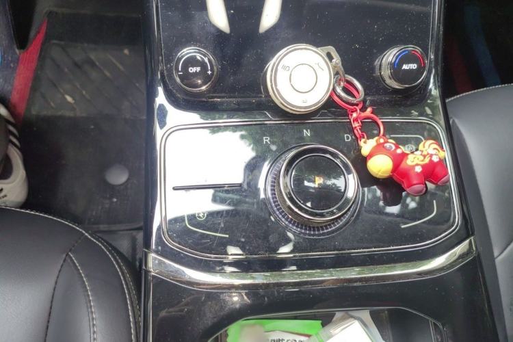 Used NETA U 2022 NETA U-Ⅱ 400 Industry Edition Gear Lever