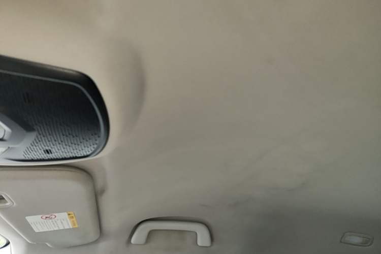 Used NETA U 2022 Zhi 400 Lithium Iron Phosphate Headliner