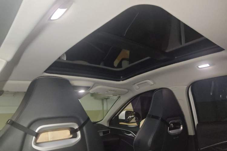 Used NETA U 2022 NETA U-Ⅱ 500 Lithium-Ion Headliner
