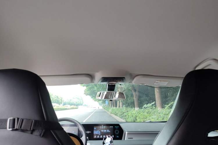 Used NETA U 2022 Zhi 400 Lithium-Nickel-Manganese-Cobalt Energy System Headliner
