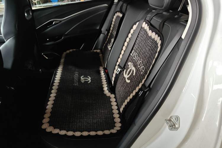 Used NETA U 2022 Zhi400 Pro Ternary Lithium Left Rear Seat