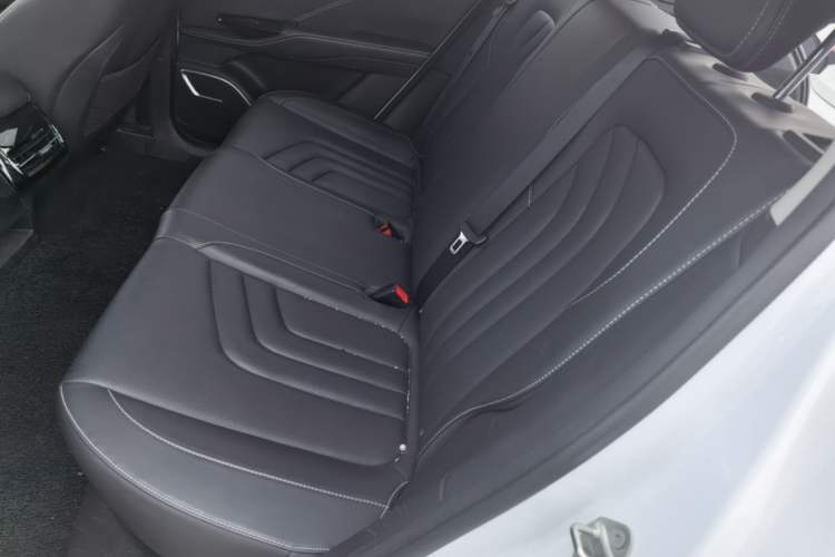 Used NETA U 2022 Zhi400 Pro Ternary Lithium Left Rear Seat