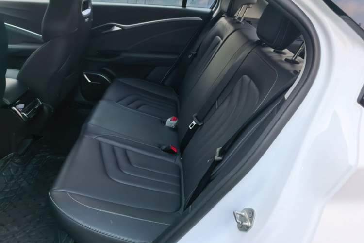 Used NETA U 2022 Zhi 400 Lithium Iron Phosphate Left Rear Seat