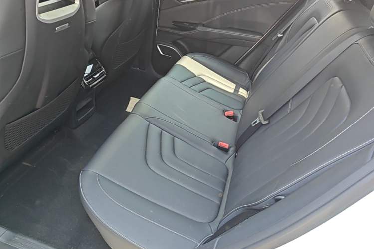 Used NETA U 2022 NETA U-Ⅱ 400 Lite Ternary Lithium Left Rear Seat