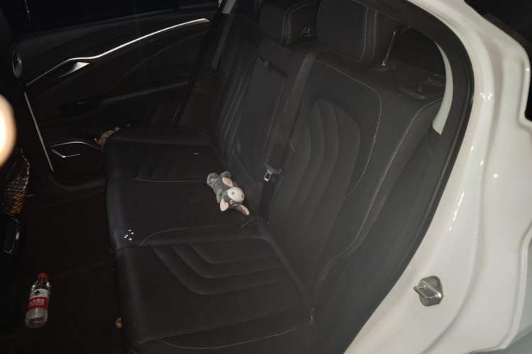 Used NETA U 2022 Chiiq 500 Lithium Iron Phosphate Left Rear Seat