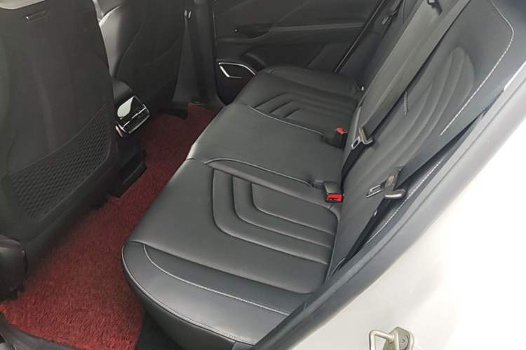 Used NETA U 2022 Zhi 400 Lithium Iron Phosphate Left Rear Seat
