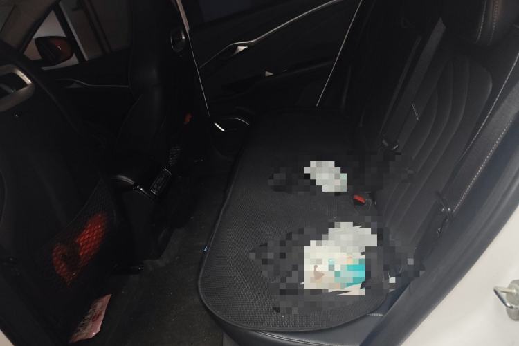Used NETA U 2022 NETA U-Ⅱ 500 Lithium-Ion Left Rear Seat