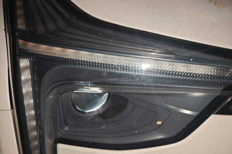 Used NETA U 2022 NETA U-Ⅱ 500 Lithium-Ion Right Front Headlight
