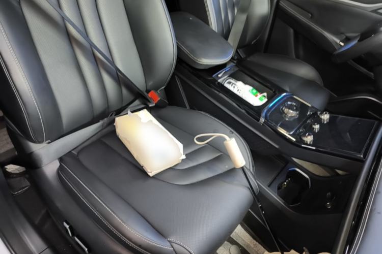 Used NETA U 2022 Zhi400 Pro Ternary Lithium Right Front Seat