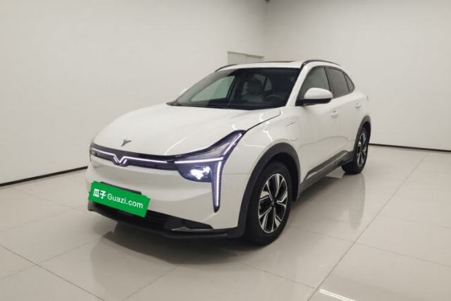 NETA U 2022 NETA U-Ⅱ 500 Lithium-Ion usado