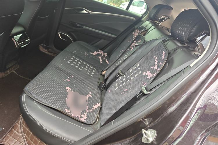 Used NETA U 2023 NETA U-Ⅱ 400 U Show Edition – Lithium Iron Phosphate Left Rear Seat