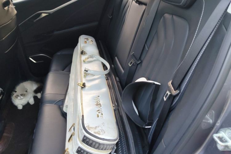 Used NETA U 2023 NETA U-Ⅱ Challenge Edition 500 NMC Lithium-ion Left Rear Seat