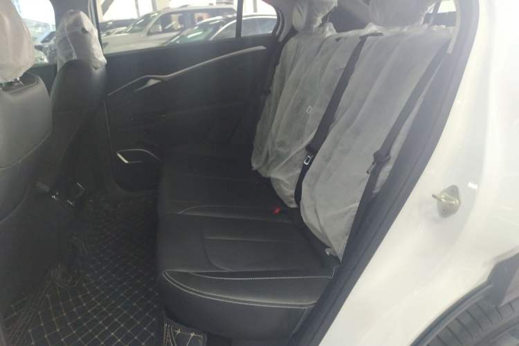 Used NETA U 2023 NETA U-Ⅱ Challenge Edition 500 U Show – Lithium Iron Phosphate Left Rear Seat