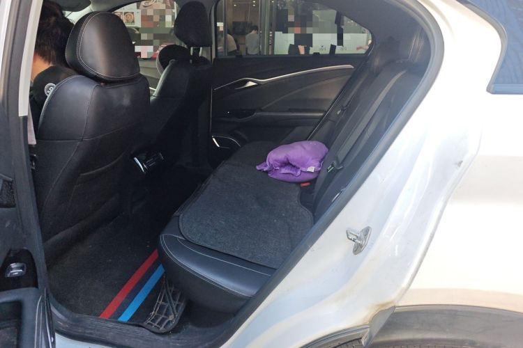 Used NETA U 2023 NETA U-Ⅱ Challenge Edition 500 U Show – Lithium Iron Phosphate Left Rear Seat