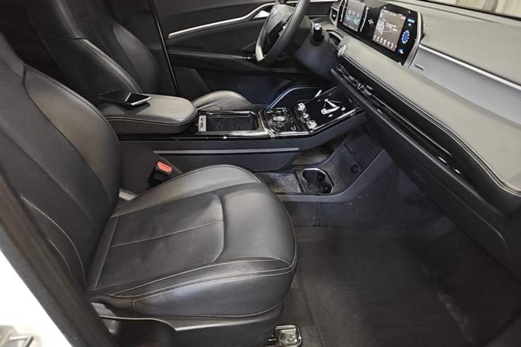 Used NETA U 2023 NETA U-Ⅱ 400 U-SHOW Edition Lithium-Ion Battery Right Front Seat