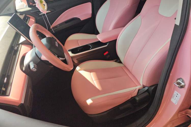 Used NETA V 2022 Chao 400 Lite Pink Custom Edition Left Front Seat