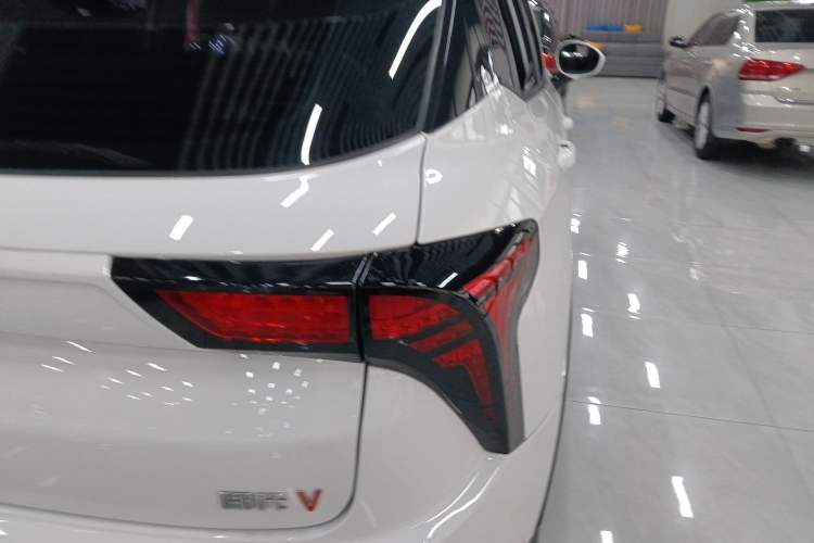Used NETA V 2022 Long-Range Industry Custom Edition Exterior 6
