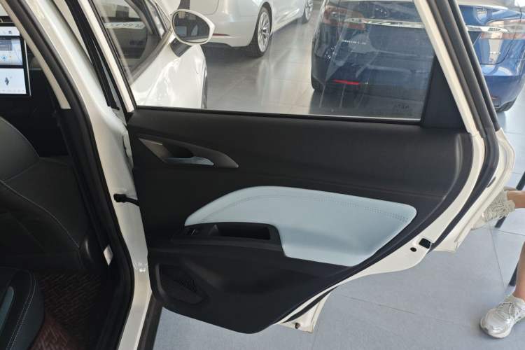 Used NETA V 2021 Long-Range Entertainment Edition Interior 6