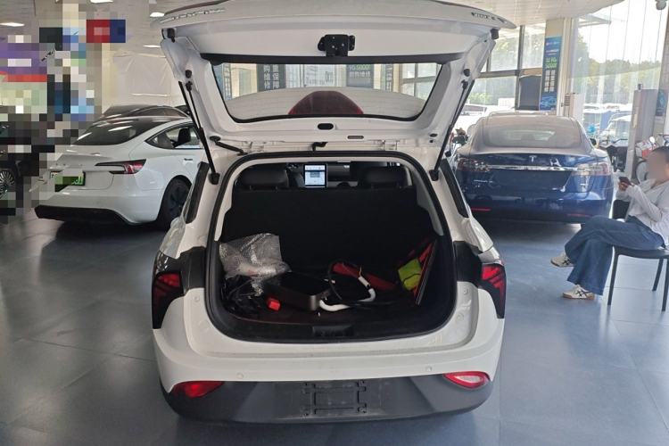 Used NETA V 2021 Long-Range Entertainment Edition Trunk