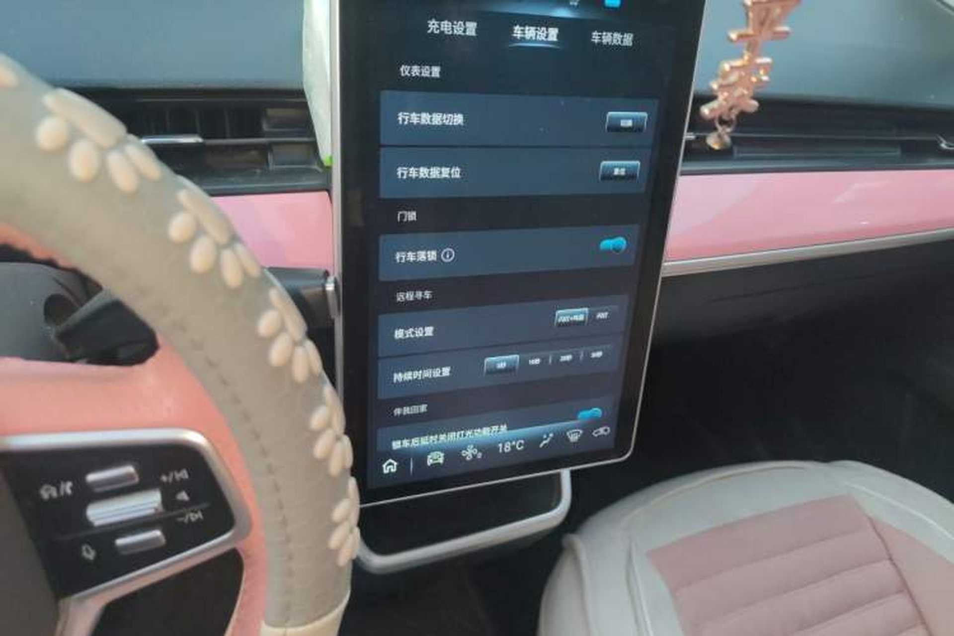 Used NETA V 2021 Co-sport Magic Edition Audio And AC Panel