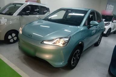 Used NETA V 2021 Long-Range Entertainment Edition Upgrade Model