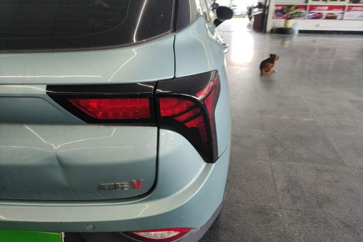Used NETA V 2021 Standard Range Entertainment Edition Exterior 1