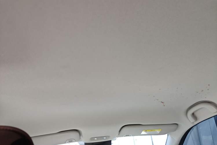 Used NETA V 2021 Standard Range Entertainment Version – Upgraded Model Headliner