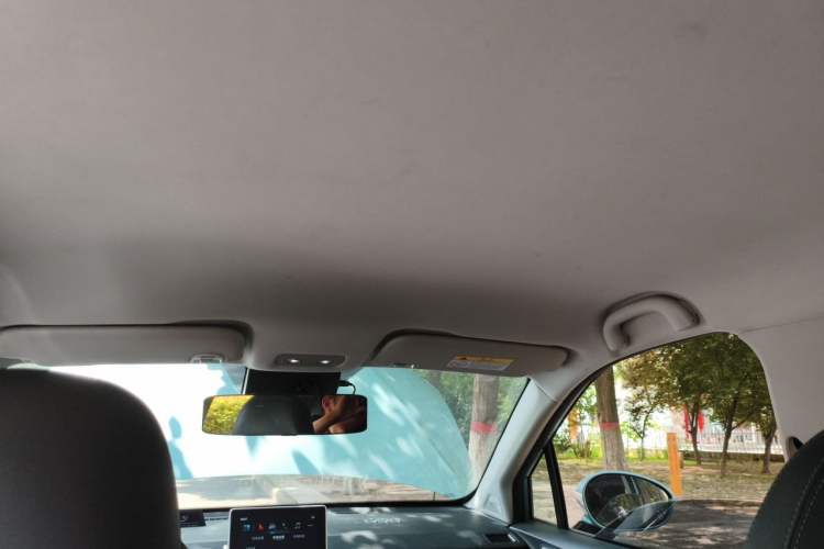 Used NETA V 2021 Long-Range Entertainment Edition Headliner