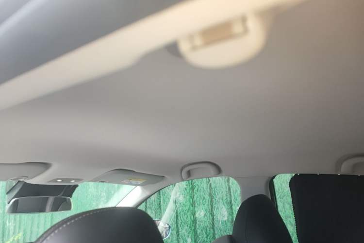 Used NETA V 2021 Long-Range Entertainment Edition Upgrade Model Headliner