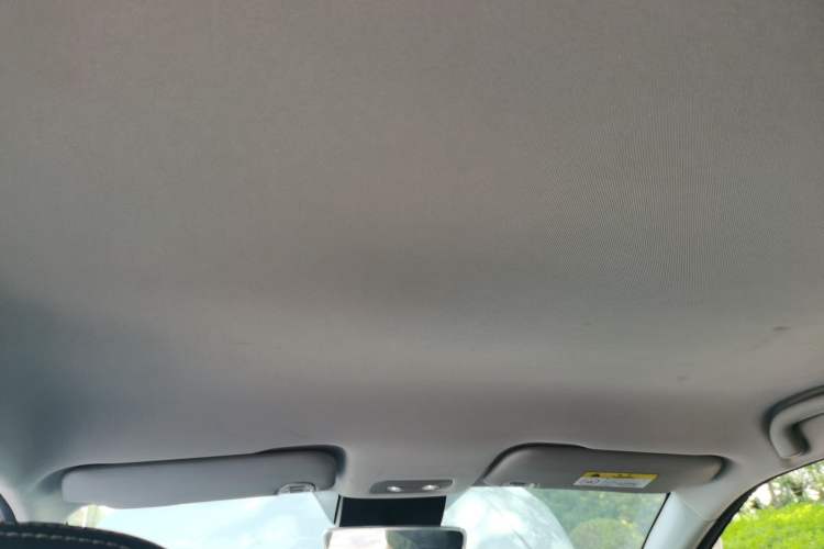 Used NETA V 2021 Long-Range Entertainment Edition Upgrade Model Headliner