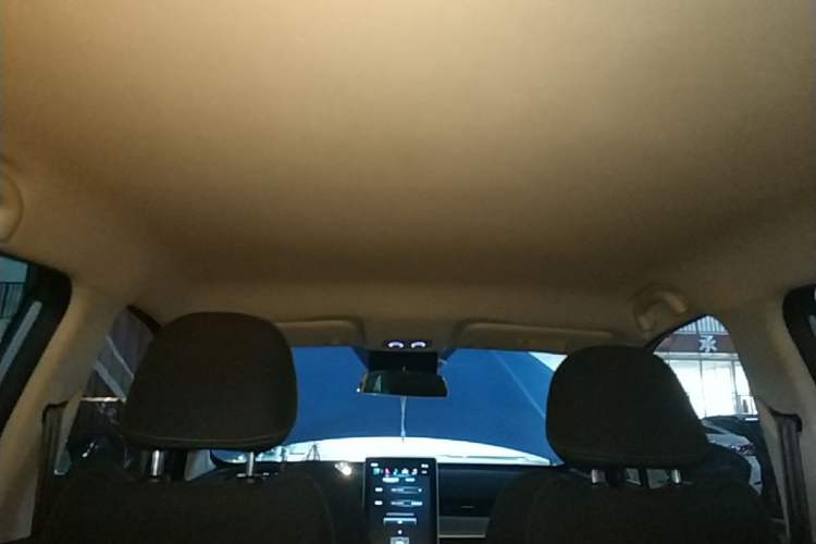 Used NETA V 2021 Standard Range Entertainment Version – Upgraded Model Headliner
