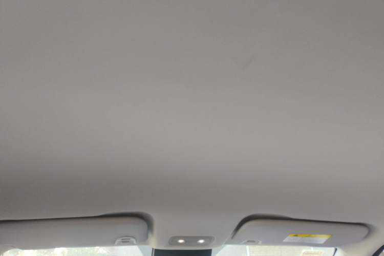 Used NETA V 2021 Standard Range Entertainment Version – Upgraded Model Headliner