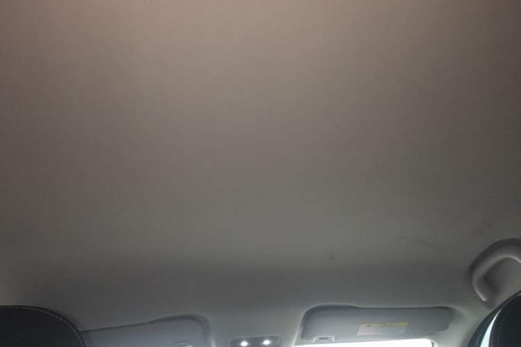 Used NETA V 2021 Standard Range Entertainment Version – Upgraded Model Headliner