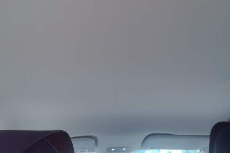 Used NETA V 2021 Standard Range Entertainment Edition Headliner