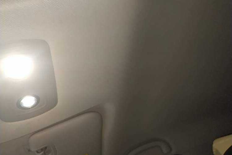 Used NETA V 2021 Long-Range Smart Edition Headliner