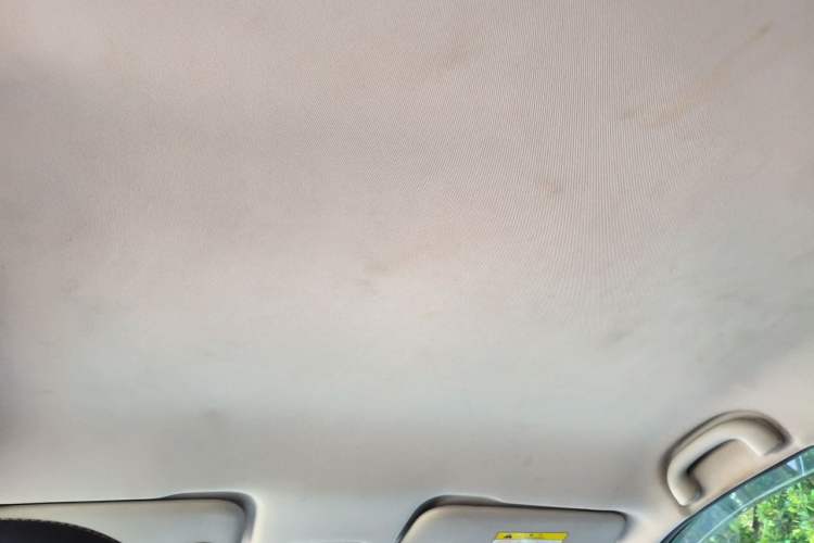 Used NETA V 2021 Long-Range Entertainment Edition Upgrade Model Headliner