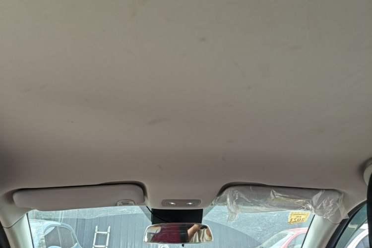 Used NETA V 2021 Standard Range Entertainment Edition Headliner