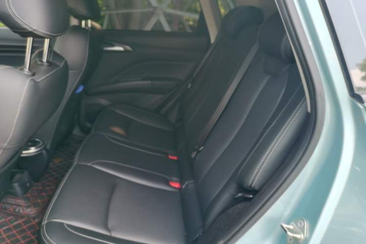 Used NETA V 2021 Long-Range Entertainment Edition Upgrade Model Left Rear Seat