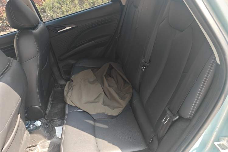 Used NETA V 2021 Long-Range Entertainment Edition Upgrade Model Left Rear Seat