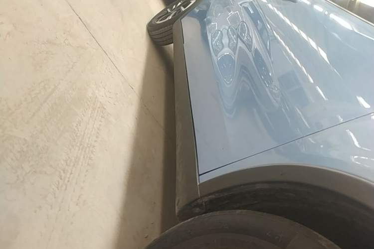 Used NETA V 2021 Long-Range Smart Edition Right Side Sill