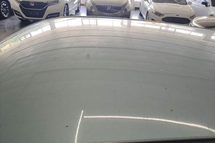 Used NETA V 2021 Standard Range Entertainment Edition Roof