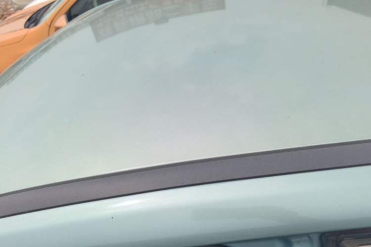 Used NETA V 2021 Long-Range Entertainment Edition Upgrade Model Roof